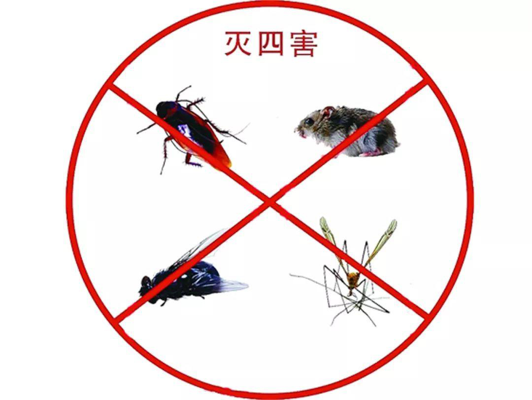 四害消殺